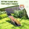 Dog Agility Ramp , Pet Seesaw